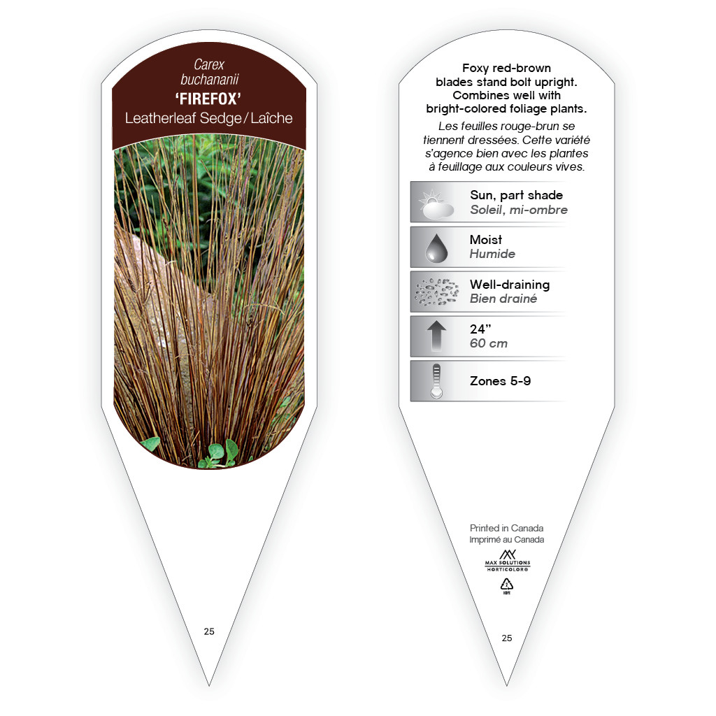 Carex Firefox sturdy plant id tag with description, picture, and