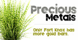 Precious Metals - Miscanthus and Carex Bowles Golden 