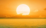 Delosperma Ocean Sunset™ Ever watch the sun set over the sea?