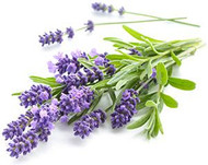 Mmmmm… What’s That Smell Again? It’s lavender, of course! Chapter III