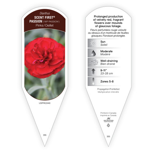 Dianthus Tag Dianthus Scent First Passion PP20440 1 Tag