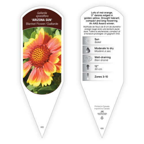 Gaillardia xgrandiflora 'Arizona Sun' 1 Tag