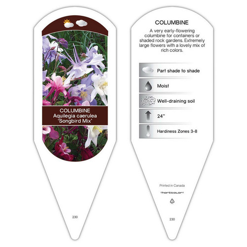 Aquilegia Tag Aquilegia caerulea Songbird Mix 1 Tag