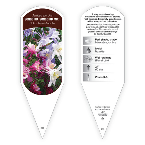Aquilegia caerulea 'Songbird Mix' 1 Tag