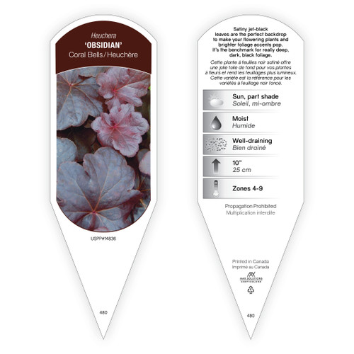 Heuchera Tag Heuchera Obsidian PP14836 1 Tag