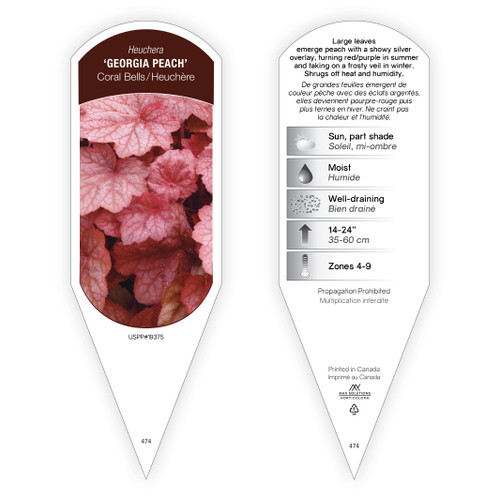 Heuchera Tag Heuchera Georgia Peach PP19375 1 Tag
