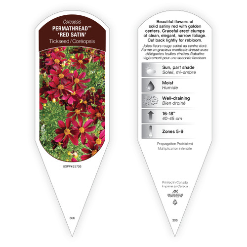 Coreopsis PermaThread™ 'Red Satin' PP25736 1 Tag