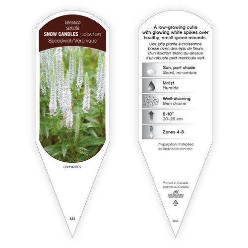Veronica Snow Candles liners from Emerald Coast Growers