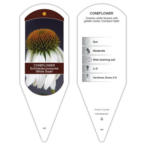 Echinacea Tag Echinacea purpurea White Swan 1 Tag