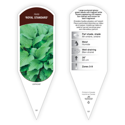Hosta Tag Hosta Royal Standard 1 Tag