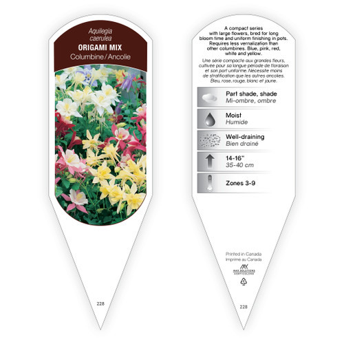 Aquilegia caerulea Origami™ Mix 1 Tag
