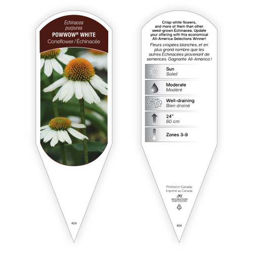 Echinacea purpurea PowWow® White 1 Tag