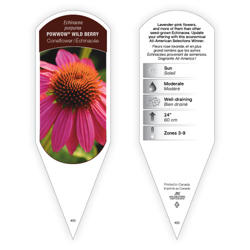Echinacea purpurea PowWow® Wild Berry 1 Tag