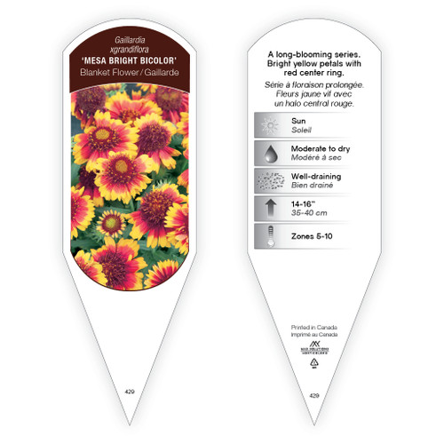 Gaillardia xgrandiflora 'Mesa Bright Bicolor' 1 Tag