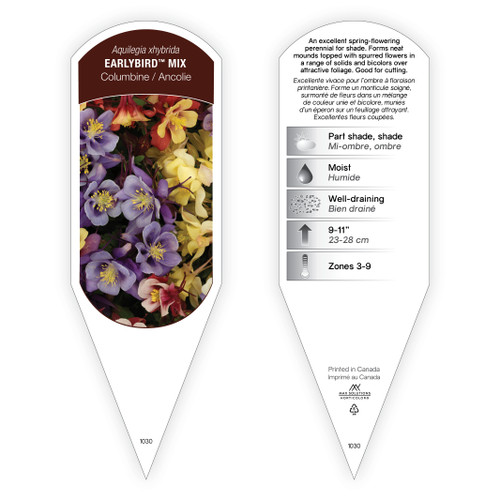 Aquilegia Tag Aquilegia Earlybird Mix 1 Tag