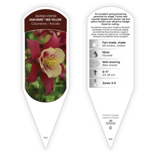 Aquilegia Tag Aquilegia Earlybird Red Yellow 1 Tag