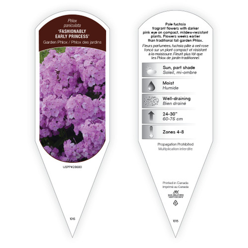 Phlox Tag Phlox paniculata 'Fashionably Early Princess' PP28680 1 Tag