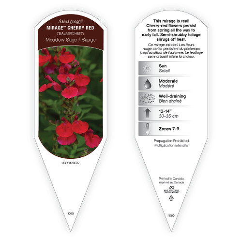 Salvia Mirage Deep Purple sturdy plant id tag with description