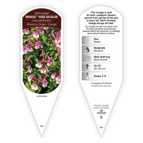 Salvia Mirage Deep Purple sturdy plant id tag with description