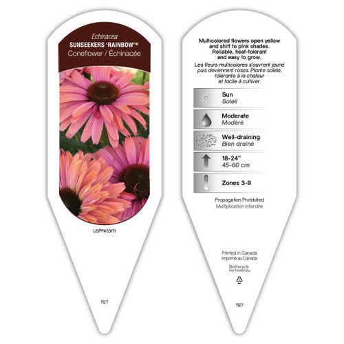 Echinacea Tag Echinacea SunSeekers Rainbow PP33171 1 Tag