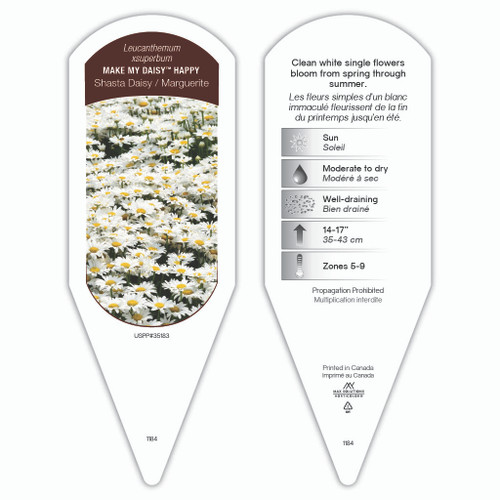Leucanthemum Make My Daisy Crazy liners from Emerald Coast Growers