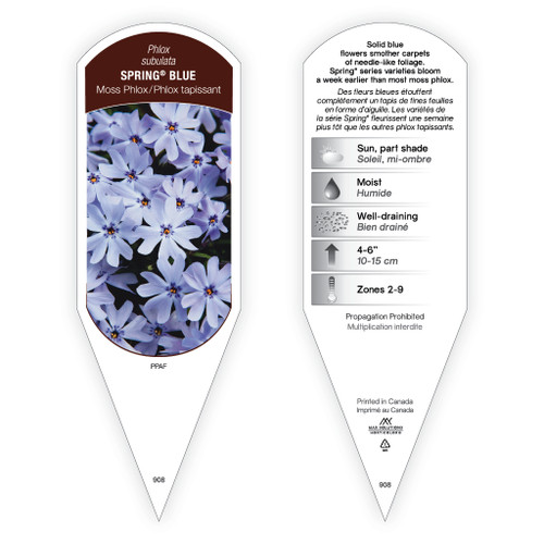 Phlox subulata Spring® Blue 1 Tag