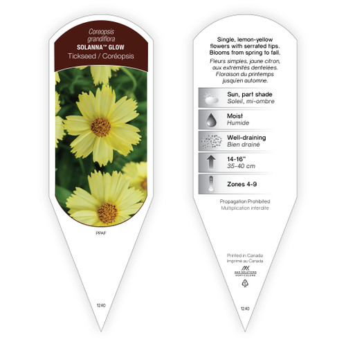 Coreopsis Solanna™ Glow PPAF 1 Tag