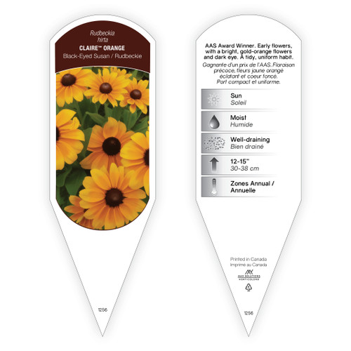 Rudbeckia hirta Claire™ Orange 1 Tag