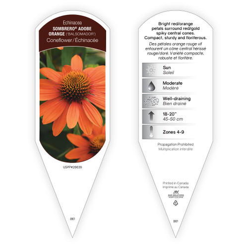 Echinacea Tag Echinacea Sombrero Adobe Orange PP26639 1 Tag