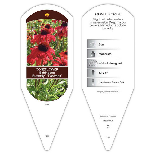 Echinacea Tag Echinacea Butterfly Postman PP28524 1 Tag