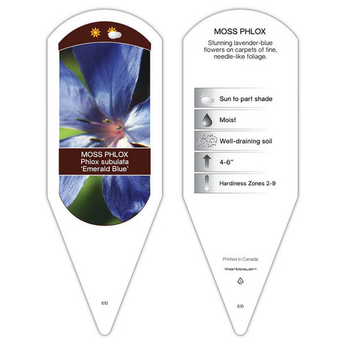 Phlox Blue Moon sturdy plant id tag with description, picture, and