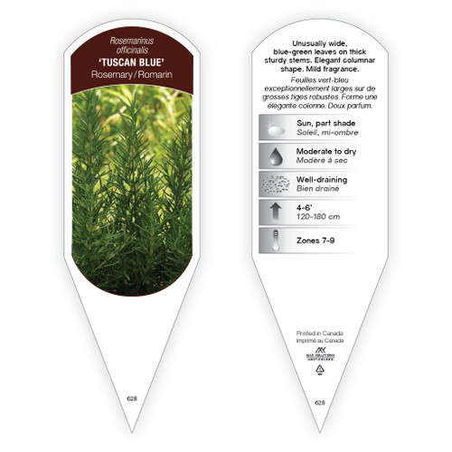 Rosmarinus officinalis 'Tuscan Blue' 1 Tag