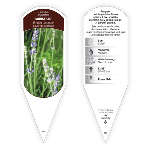 Lavandula Lavance sturdy plant id tag with description, picture
