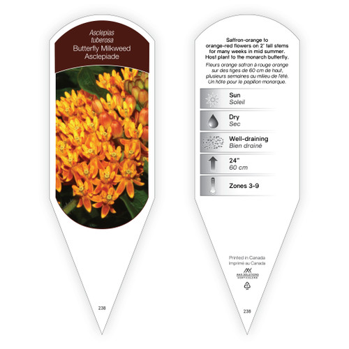 Asclepias Tag Asclepias tuberosa 1 Tag