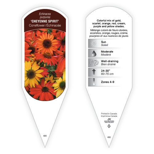 Echinacea 'Cheyenne Spirit' 1 Tag