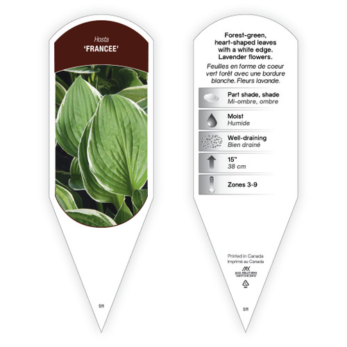 Hosta Sum and Substance sturdy plant id tag with description