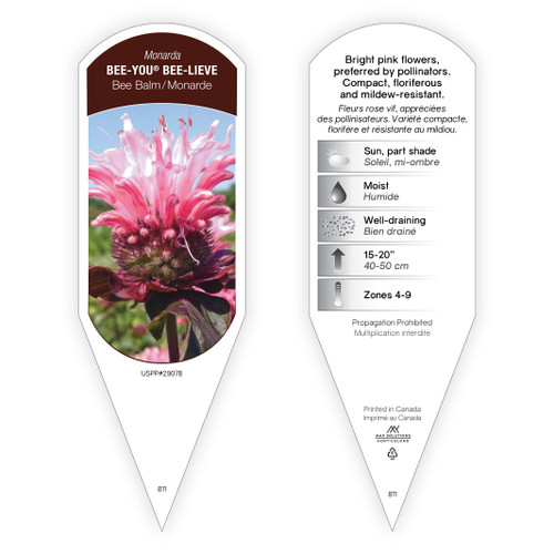Monarda Tag Monarda Bee You Bee-Lieve PP29078 1 Tag