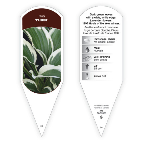 Hosta Sum and Substance sturdy plant id tag with description