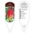 Aquilegia canadensis 1 Tag
