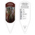Miscanthus Tag Miscanthus Purpurascens 1 Tag