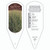 Panicum virgatum Dream Catcher® Huggy Purple® PPAF 1 Tag