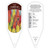 Kniphofia Tag Kniphofia uvaria Flamenco Mix 1 Tag