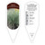 Helictotrichon sempervirens 1 Tag