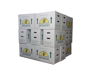 ecg-shipping-boxes2.jpg ecg-shipping-boxes2.jpg