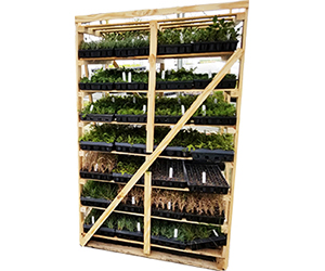 ecg-shipping-racks2.jpg ecg-shipping-racks2.jpg