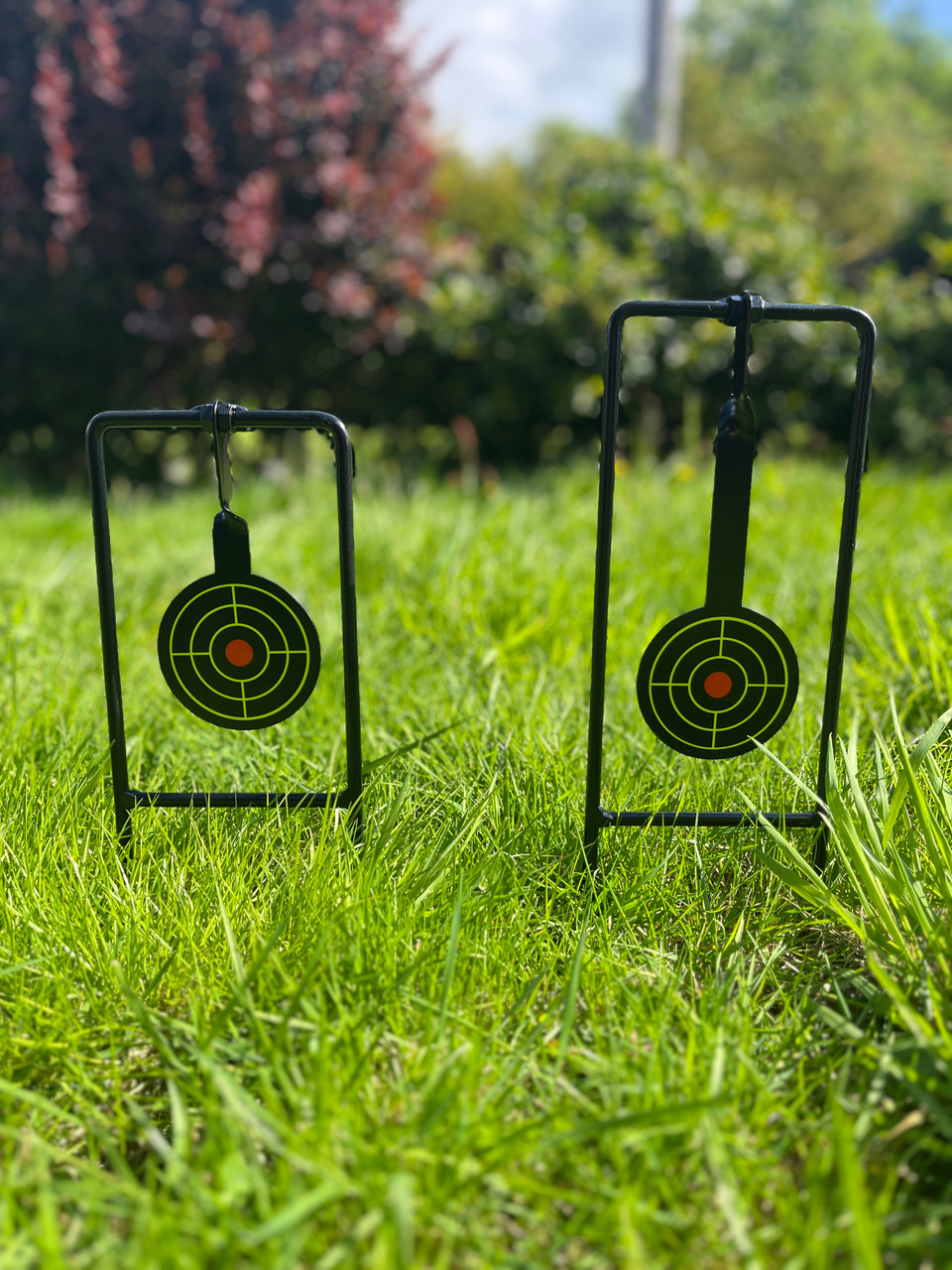 Air rifle/BB gun swinging target