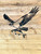 Metal Osprey Bird with Fish wall art