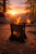 Compact collapsible fire pit