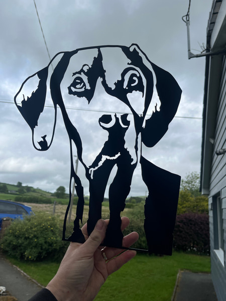 Dog and animal portraits, metal