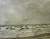 rain in a Galveston
